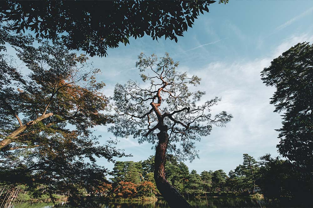 久美浜　小天橋　観光　旅行