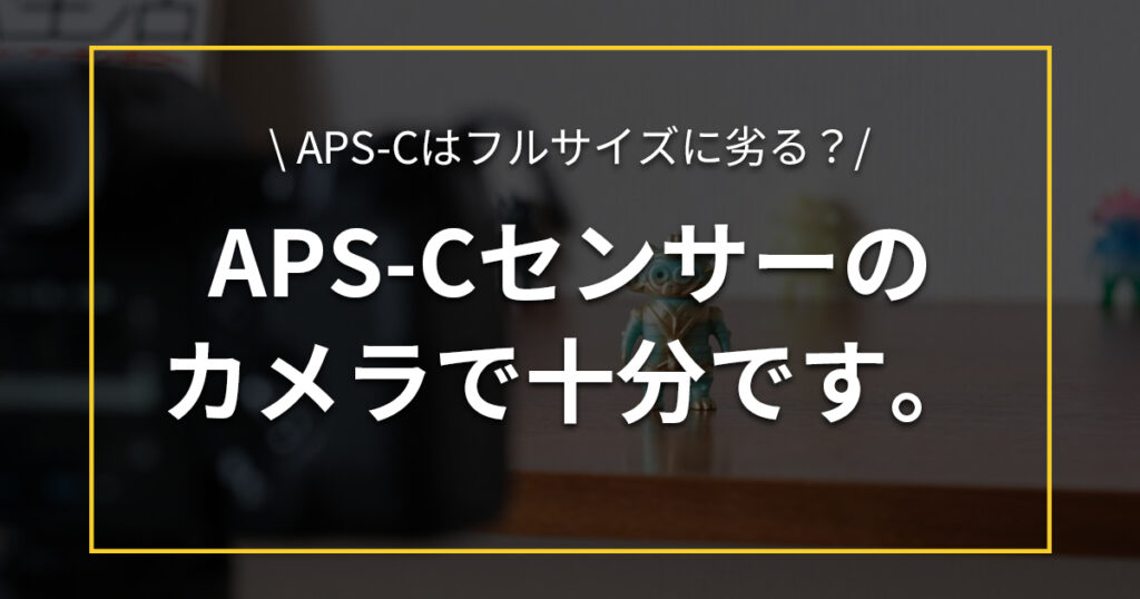 APS-Cセンサーのカメラはフルサイズに劣るのか?※APS-Cセンサーで十分です | 旅と暮らしのダイアログ
